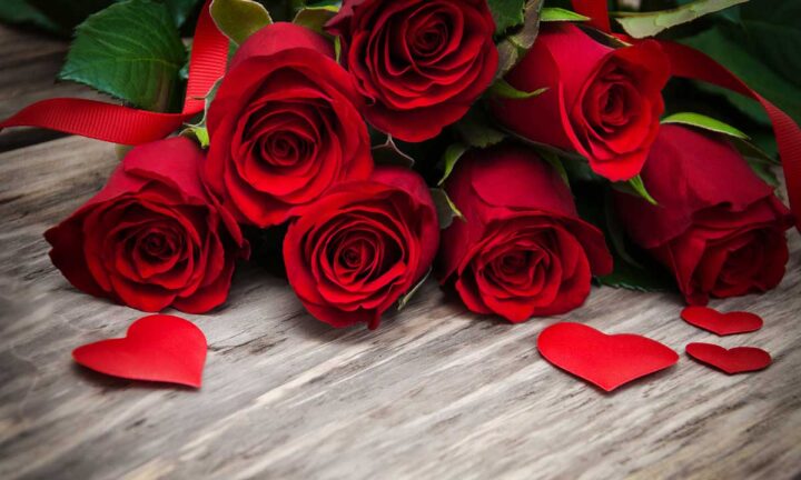 Why Red Rose Became the Ultimate Symbol of Love – Macho Vibes