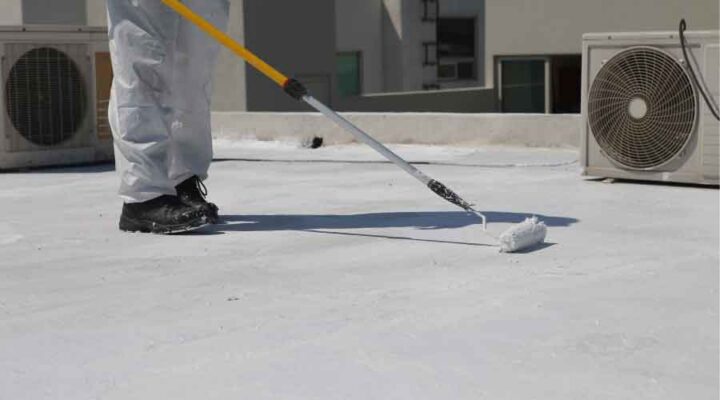 Exploring the Diverse World of Flat Roof Coatings: Options and ...